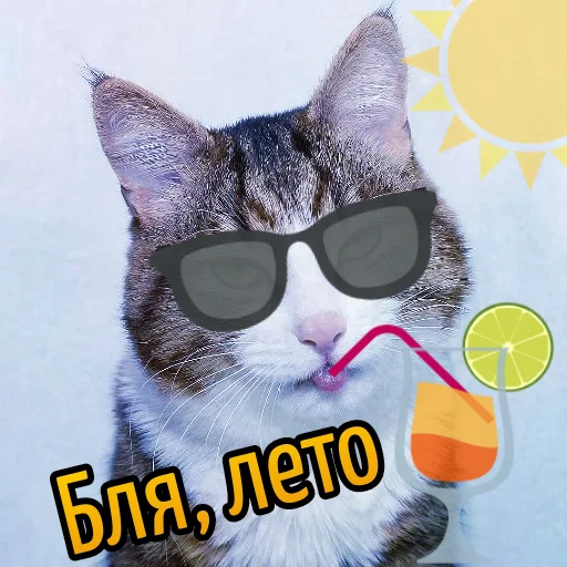 small to medium-sized cats whiskers felidae