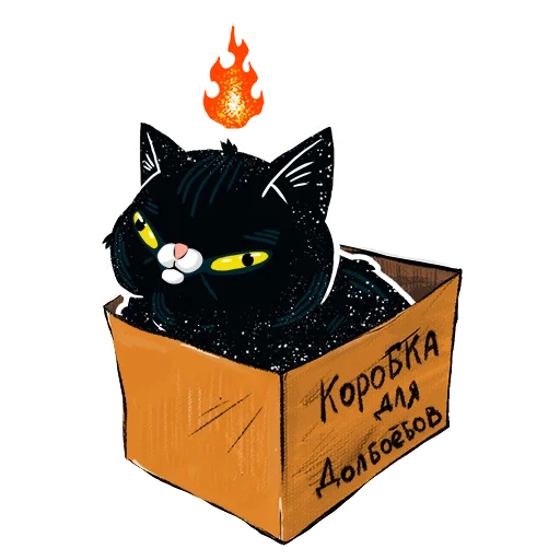 cat cartoon container