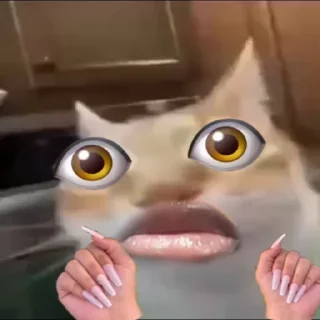 Стикер Кот Нормас - 1