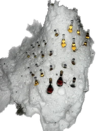 Sticker Kotanisti - 1