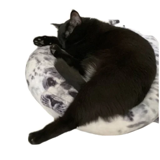 Стикер KoteSbor - 1