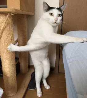 Sticker Котэ - 4