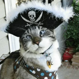 Sticker Котэ - 9