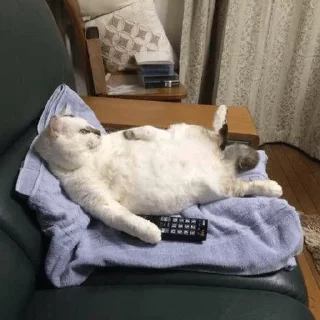 Sticker Котэ - 5