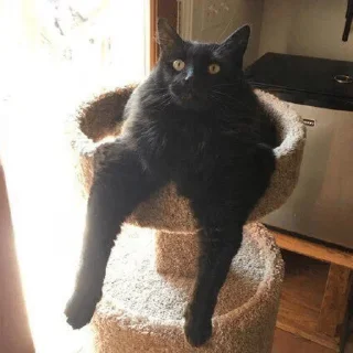 Sticker Котэ - 3