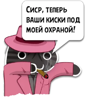 Стикер Цитаты Настя из @KotecBot - 3