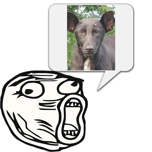 Sticker Kotec_cei4rahl_by_memocyteBot - 1