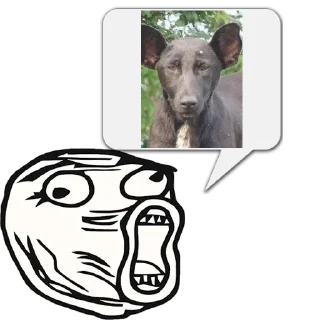 Sticker Циты Daniel из @memocyteBot - 4