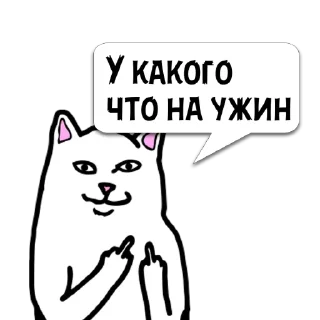Sticker Цитатки Толяна @memocyteBot - 9