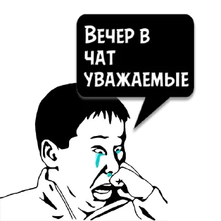 Sticker Циты Чëрная Кош из @memocyteBot - 8