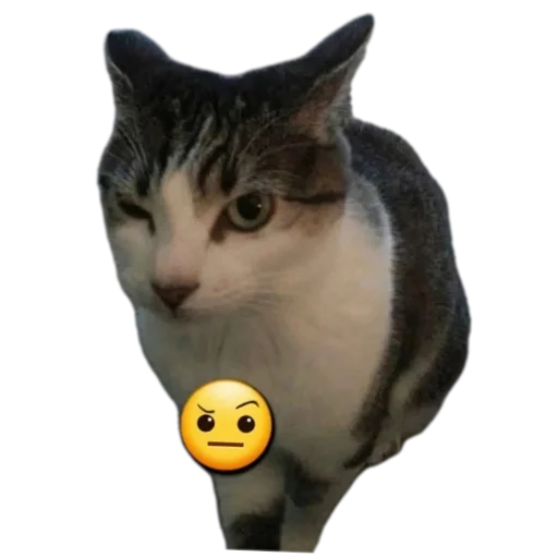 Sticker Koteechki11 - 1