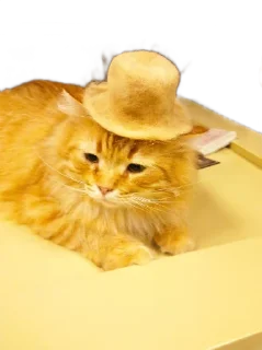 Стикер Котейня - 5