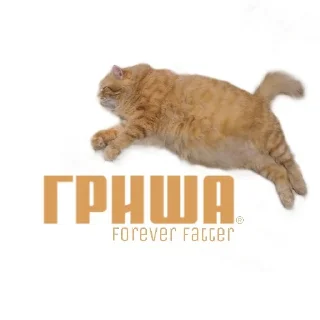 Стикер Котейня - 11