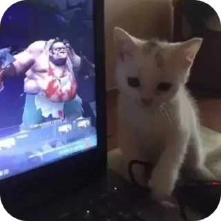 Sticker Котеки @rurirei - 8