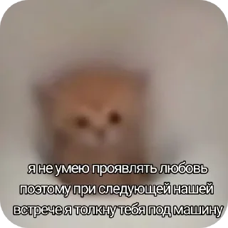 Sticker Котеки @rurirei - 1