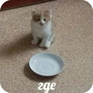 Sticker Котеки @rurirei - 11