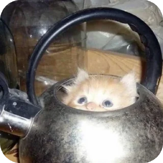 Sticker Котеки @rurirei - 3