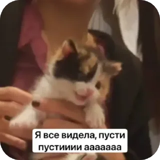 Sticker Котеки @rurirei - 4