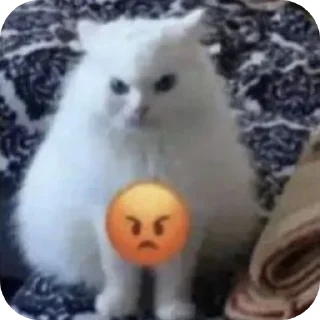 Sticker Котеки @rurirei - 6