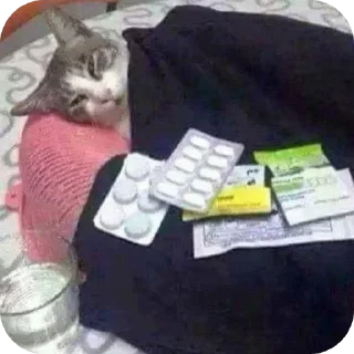 Sticker Котеки @rurirei - 5