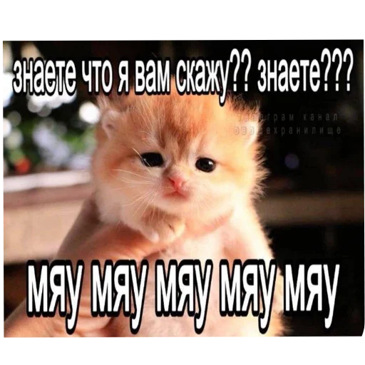 животное млекопитающее СМС