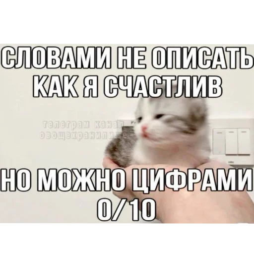 СМС млекопитающее скриншот