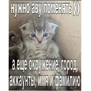 СМС животное млекопитающее