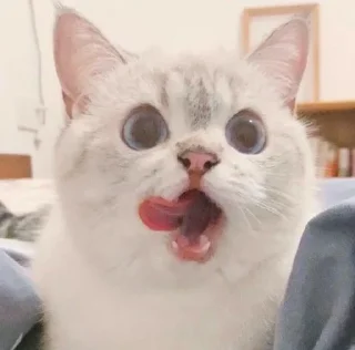 Sticker Котеки - 6