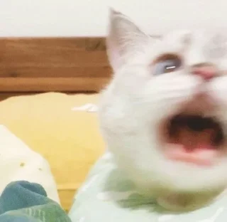 Sticker Котеки - 9