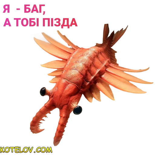 Sticker KOTELOV - 11