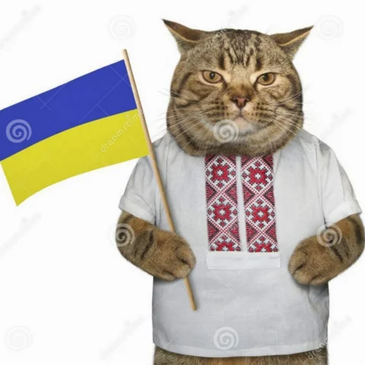 животное кошка млекопитающее