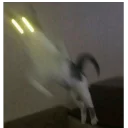 Стикер Котейки Memes | by kirillmaster4 - 0