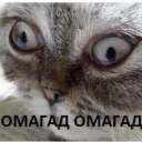 Стикер Котейки Memes | by kirillmaster4 - 8