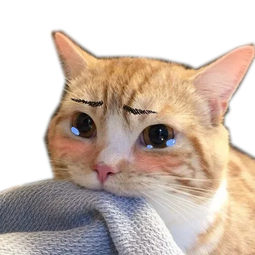 Sticker KoteykiStickersPack - 1