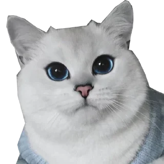 Sticker Meow @stickersb2b - 6