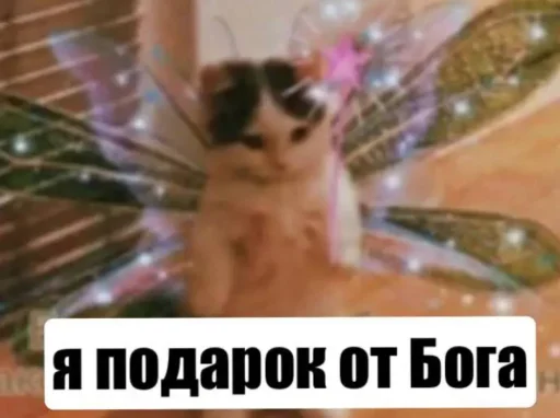 Sticker KotiNarkomani - 1