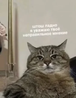 Sticker Ebobo pack - 8