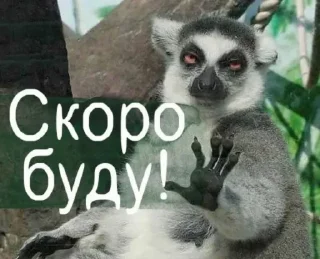 Sticker Ebobo pack - 4