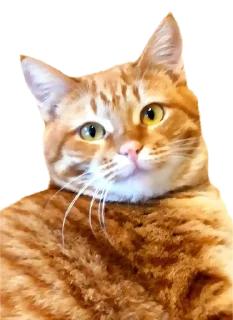 Sticker Котикусы @NeuroSneg - 10