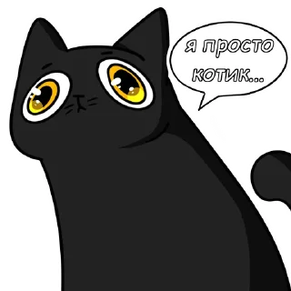 Sticker Котик Кузя - 0