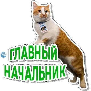 Sticker Кот Мостик - 11
