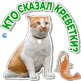 Sticker Кот Мостик - 3