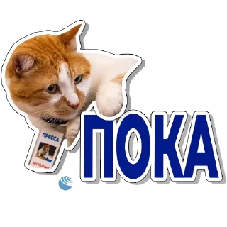 Sticker Кот Мостик - 4