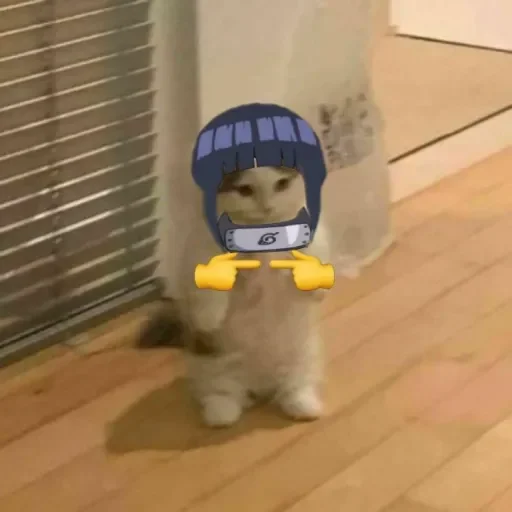 indoor floor cartoon