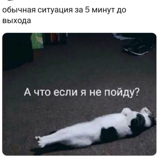 Стикер Kotiki29409 - 1