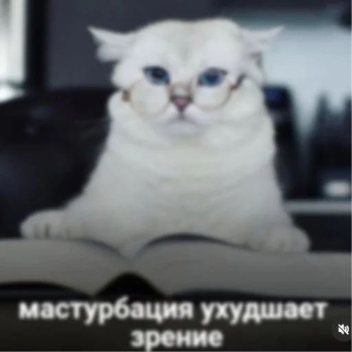 Sticker Kotiki29409 - 1