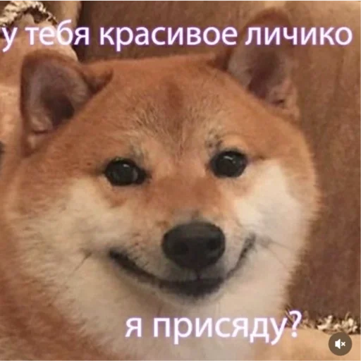 Sticker Kotiki29409 - 1