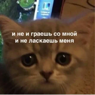 Sticker Котики2 - 6