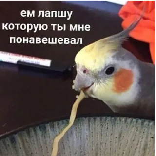 Sticker Котики2 - 5