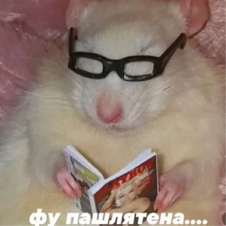 Sticker Котики2 - 10